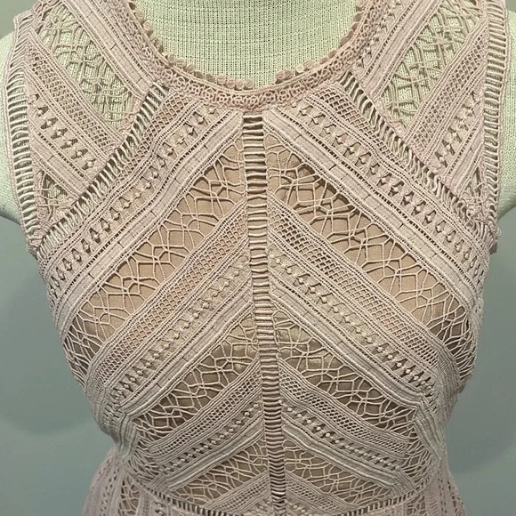 Anthropologie Greylin - Emilia Lace Mini Dress - Chalk Rose - Size Small - Picture 5 of 14